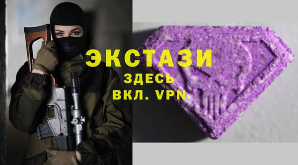 СК Алексин