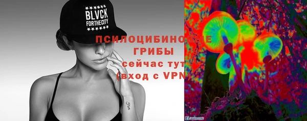 прущий лед Алзамай
