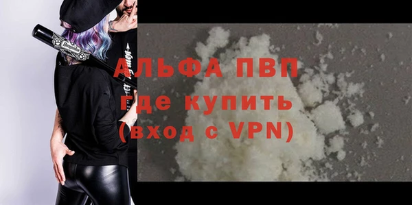 СК Алексин