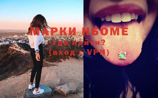 прущий лед Алзамай
