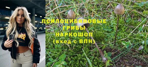 дурь Осинники