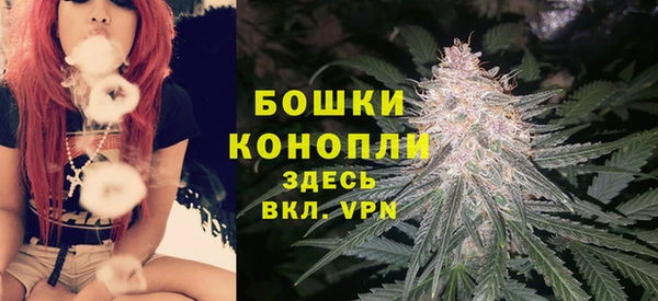 дурь Осинники